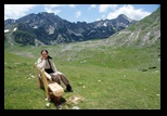 Durmitor - Zabljak -30-06-2013 - Bogdan Balaban